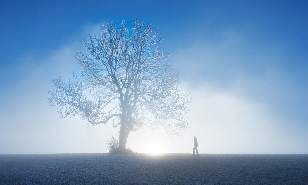 V Pundit Surveys "Higglytown Legends"