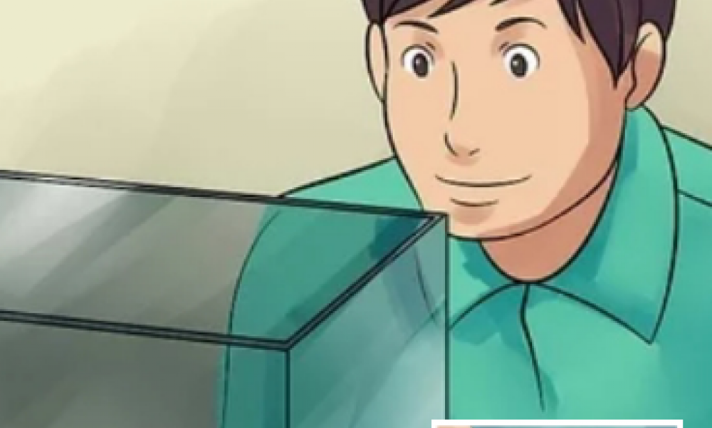 كيفية الاعتناء بالسلاحف