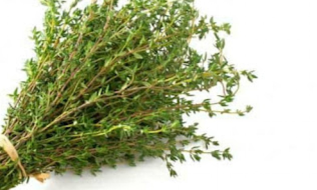 10 أعشاب طبيعية لعلاج مرض الربو