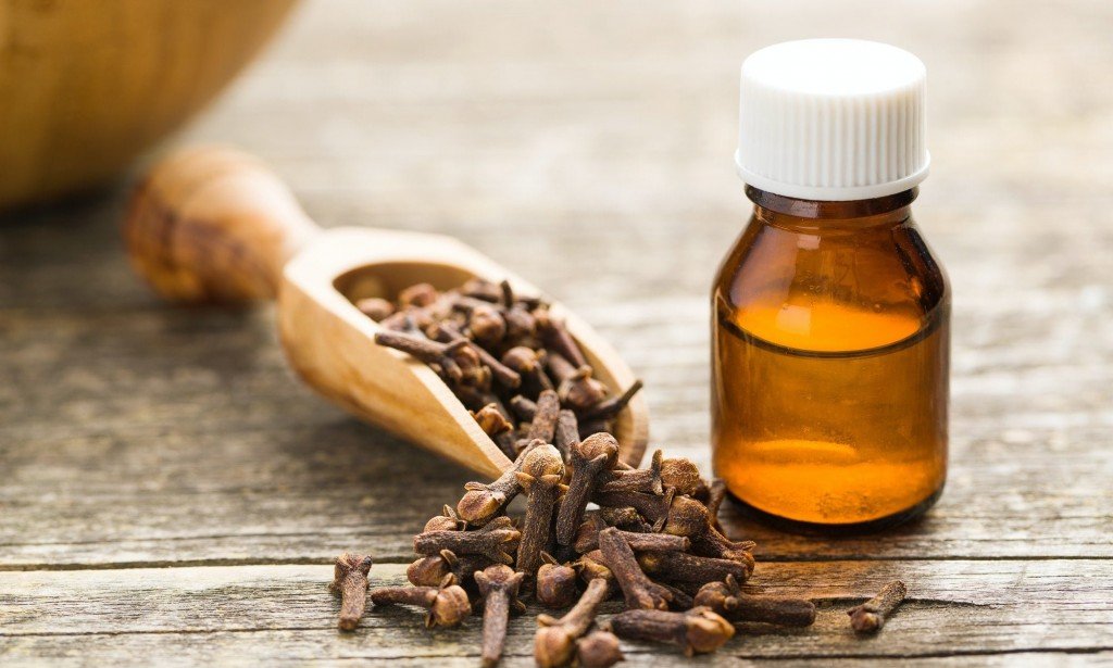 حقائق مذهلة حول فوائد القرنفل لجسم الإنسان