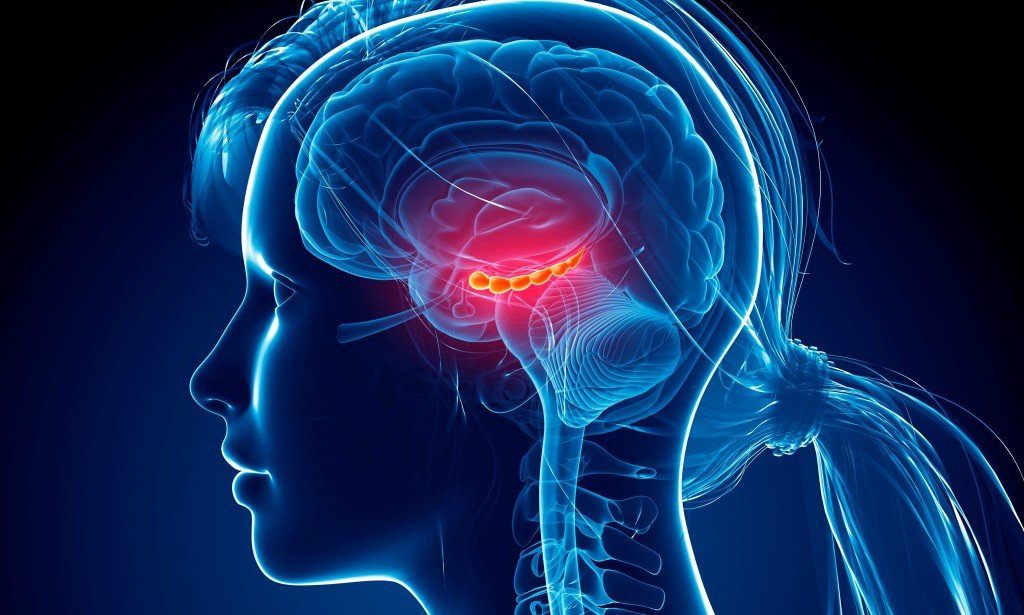 التهاب الدماغ  Encephalitis