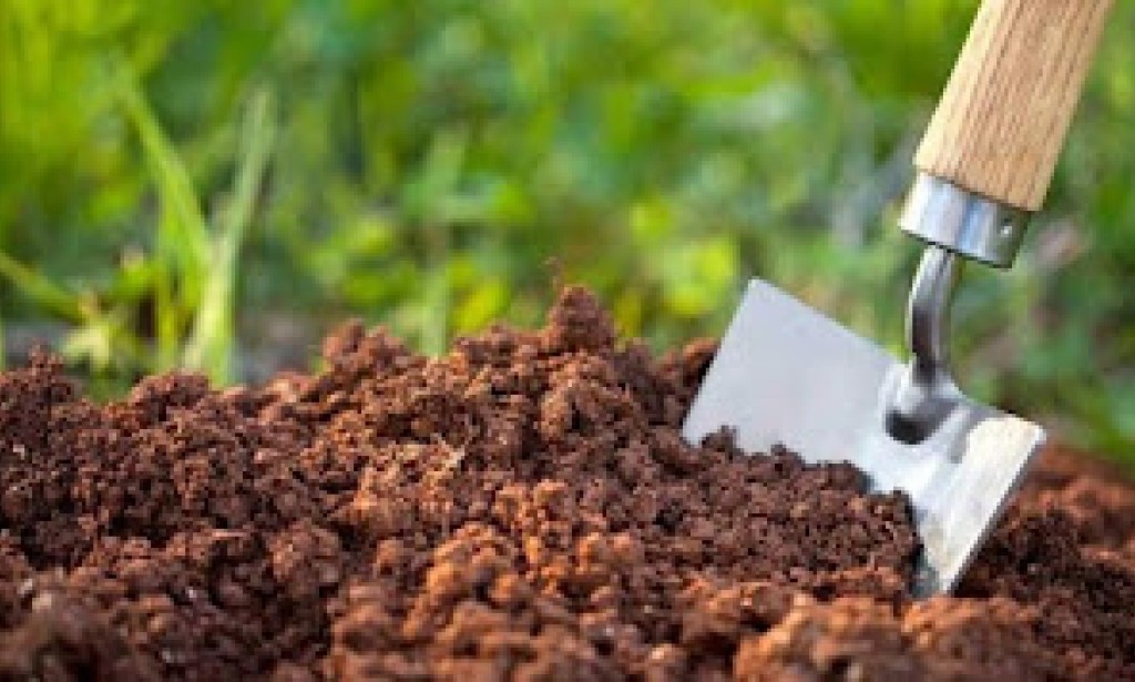 أقوي سماد مثالي لنباتات الحدائق