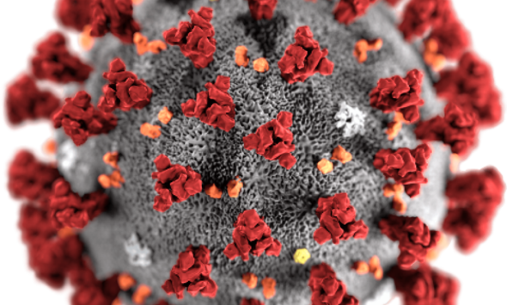 New York City Seeing Decrease In Coronavirus Winter Flood