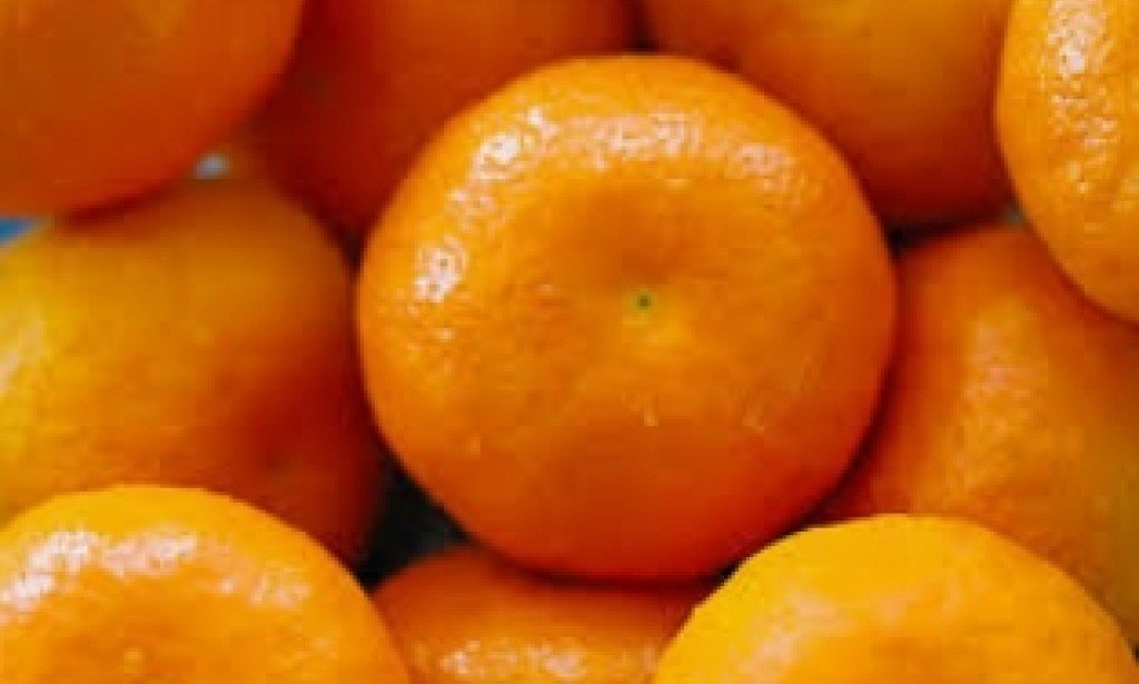 فوائد اليوسفى