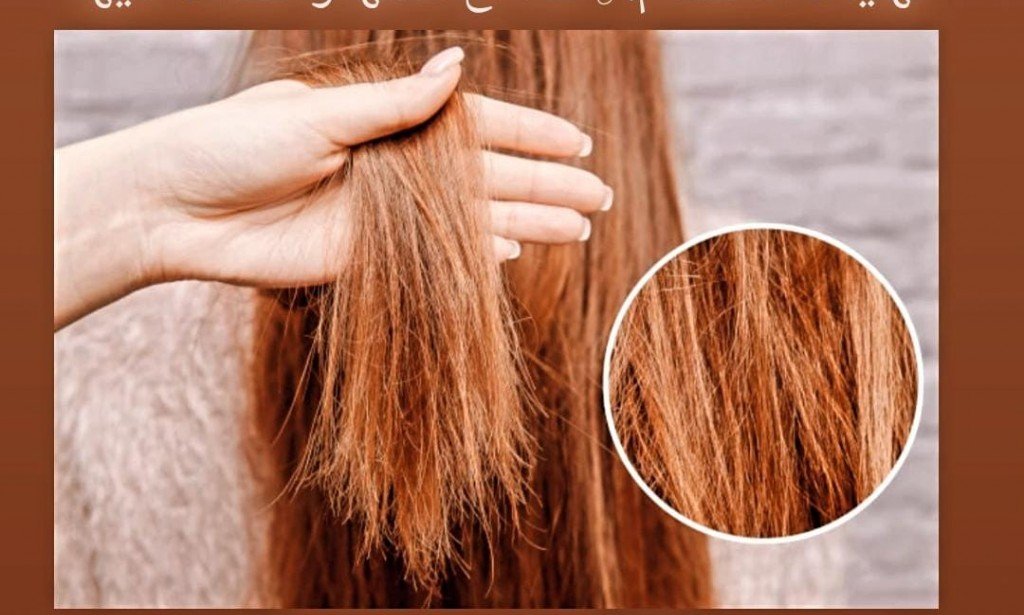 نهايات الانقسام: 6 نصائح لمنعها والقضاء عليها💆🏻‍♀️🤫