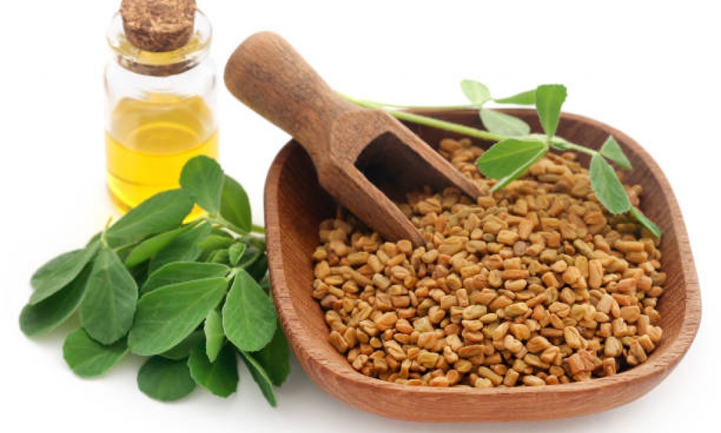 فوائد الحلبة الصحية: حقائق مهمة يحتاج مرضى السكر  إلى معرفتها