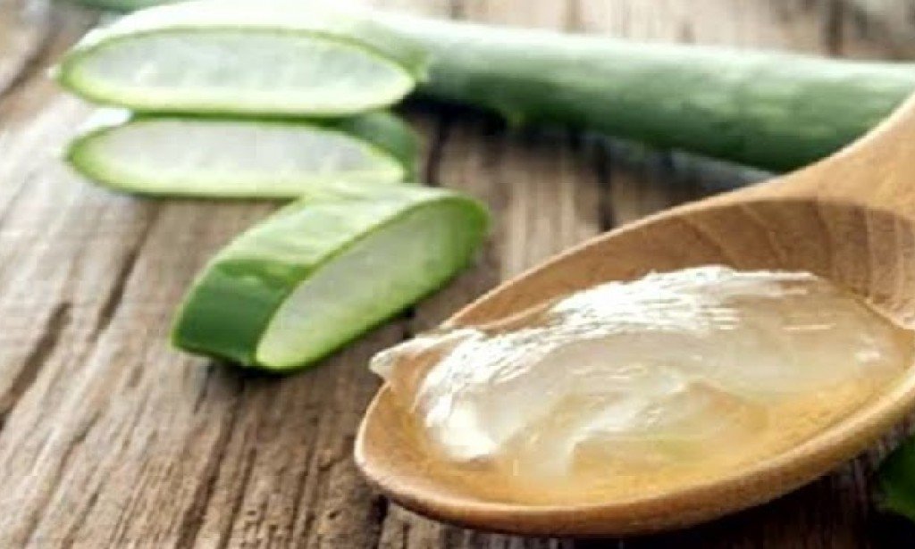 فوائد جل الصبار للبشرة الدهنية