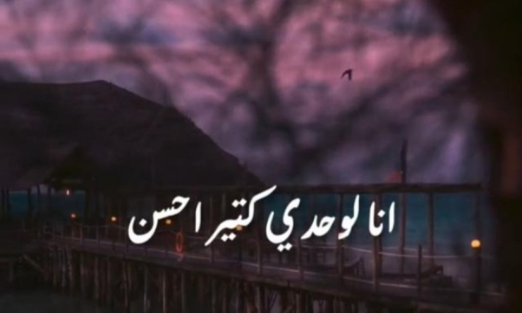 ضغوطات الحياة