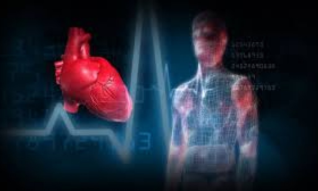 مركز الحب" عند الإنسان.. ليس القلب