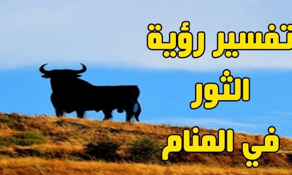 تفسير رؤية أكل لحم الثور في المنام