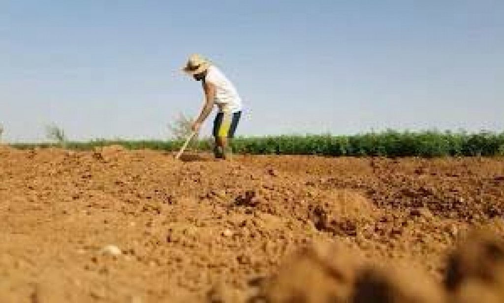 مزرعتي الجديدة - 1