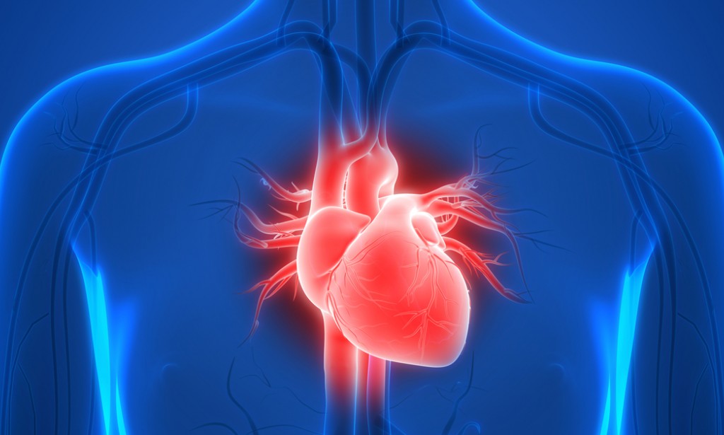 معجزة ربانية اكلات مبهرة تناولها وانسي امراض القلب وتصلب الشرايين