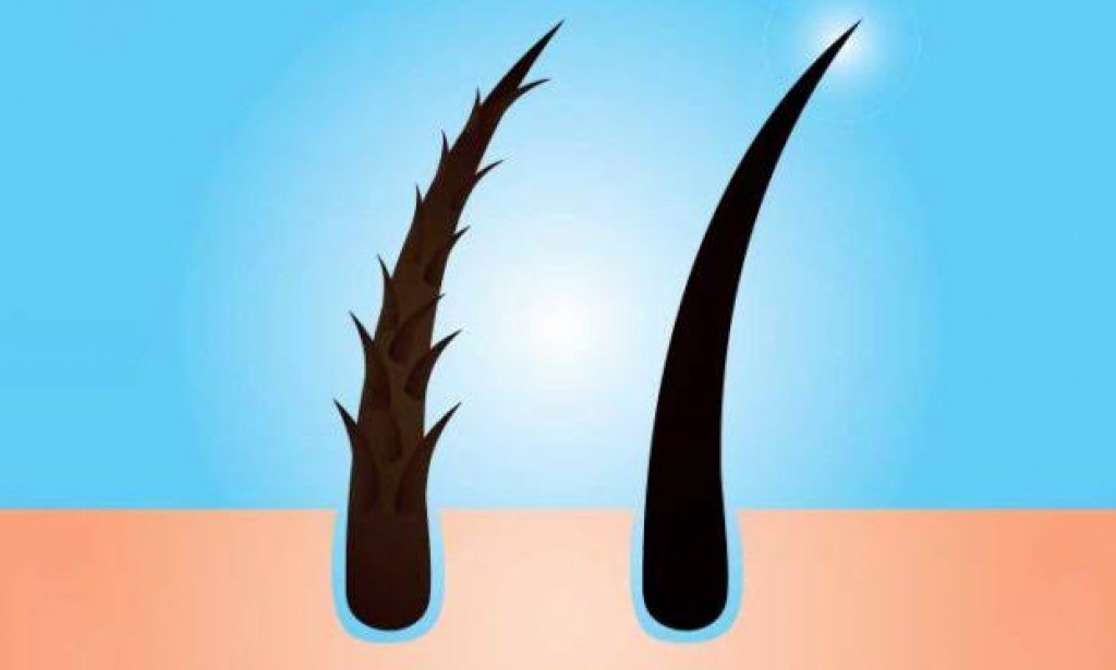 أفضل الطرق لتغذية وعلاج الشعر