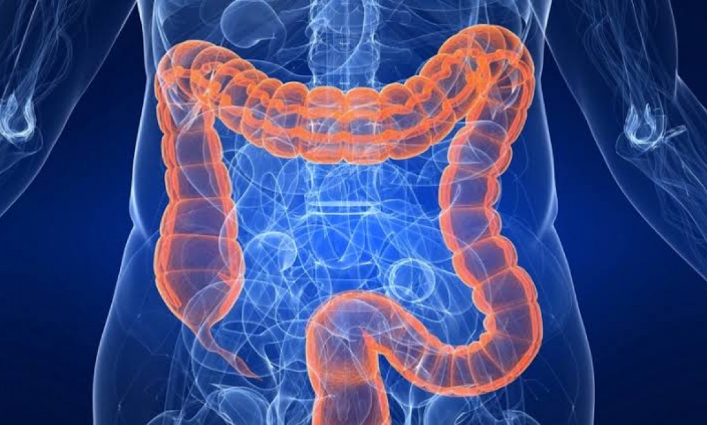 تنظيف وتطهير القولون بالأعشاب