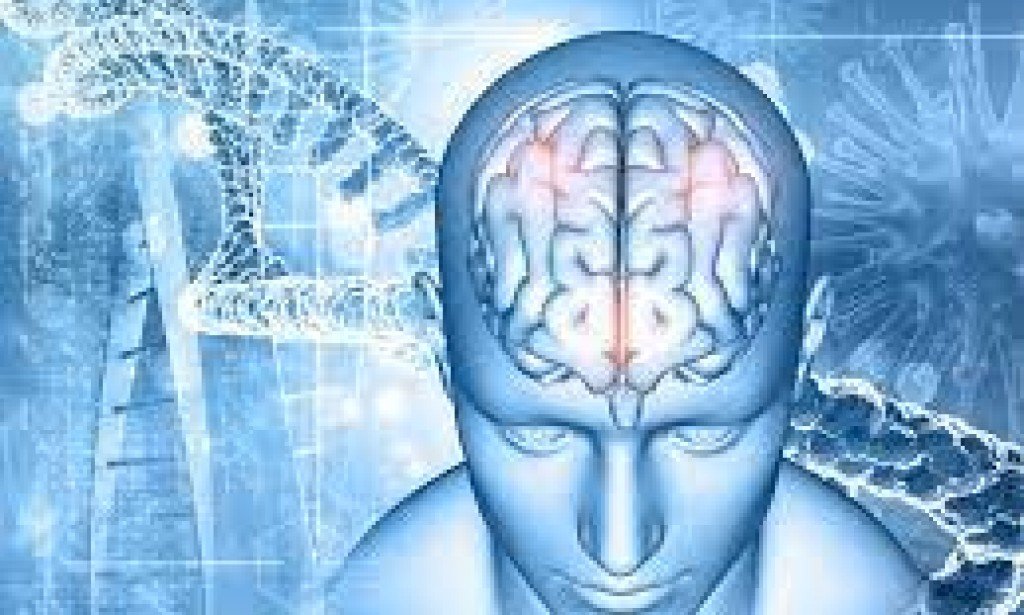 ?? How to improve your brain health