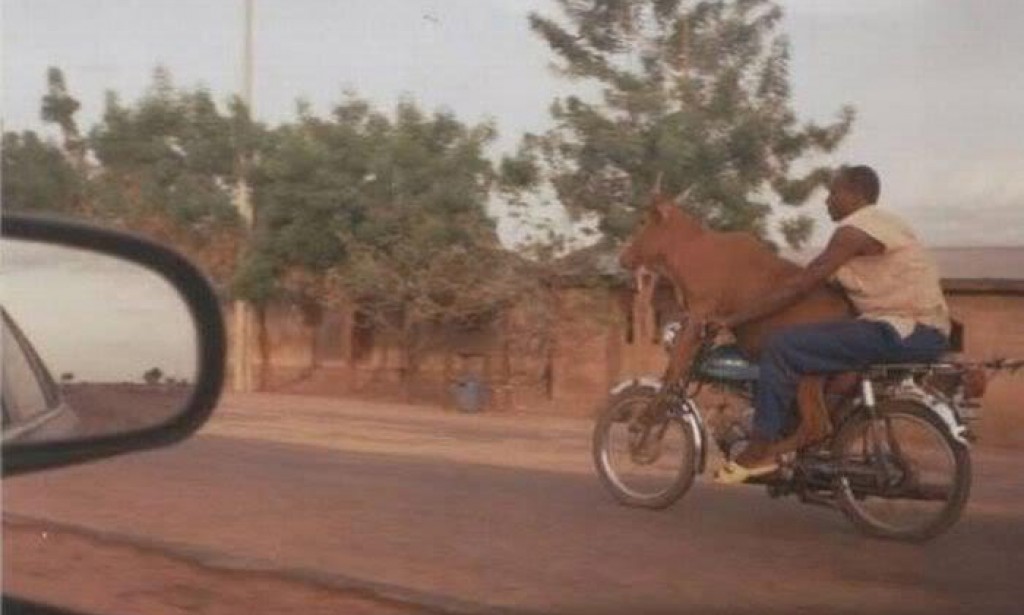 مواقف وطرائف المصريين  من هنا وهناك