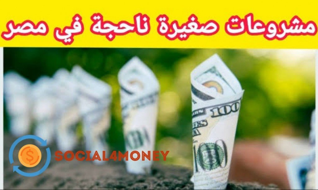 مشروعات صغيرة ناجحة في مصر