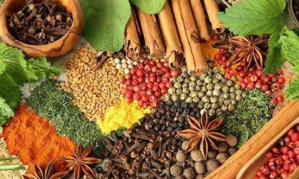 الأعشاب الطبية فوائدها واستخداماتها الطبية