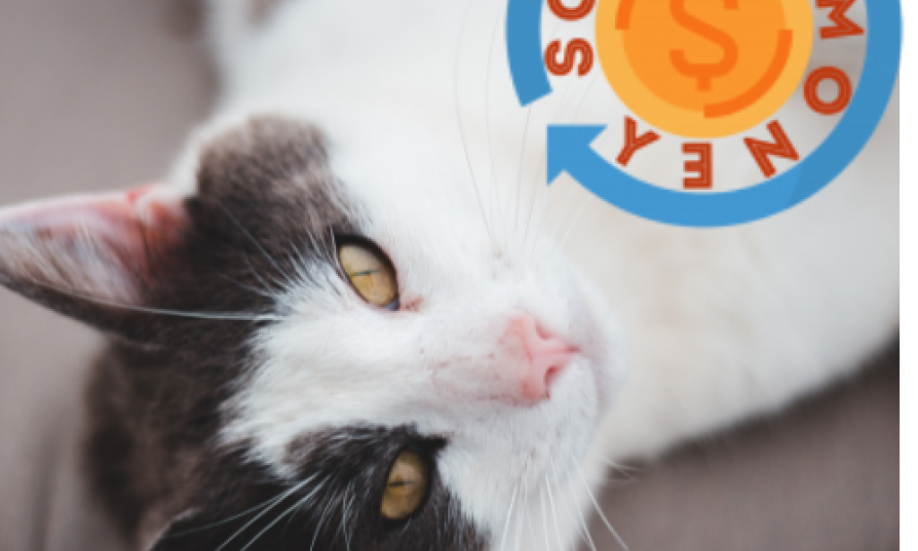 Human Care fir Cats ) the Cats)