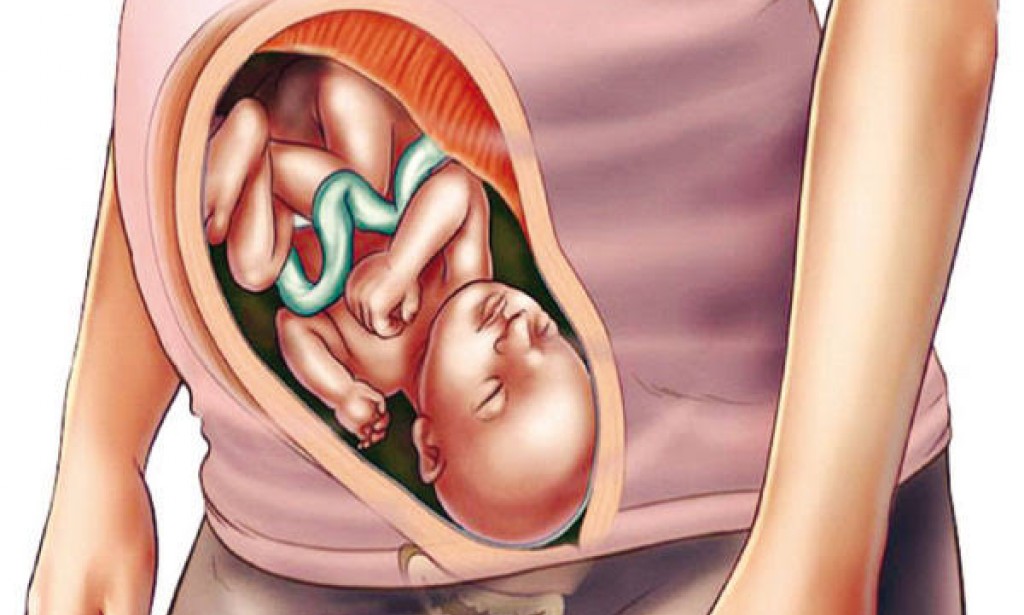 ماذا يفعل الجنين في بطن أمه في الشهر السابع