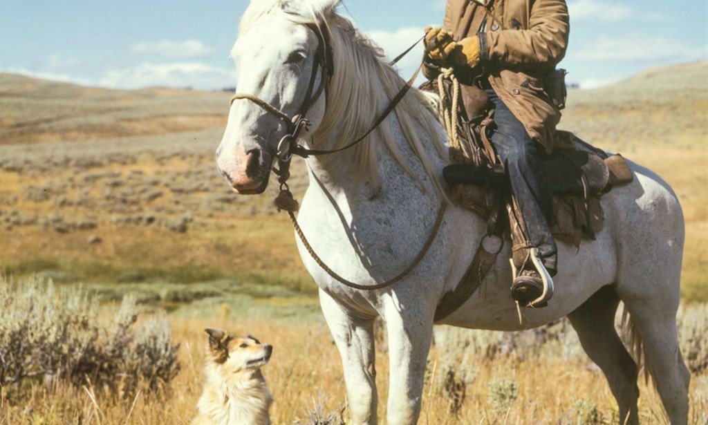 A Brief Historical Overview And The Foundations Of Animal Breeding In The Twenty-First Century: