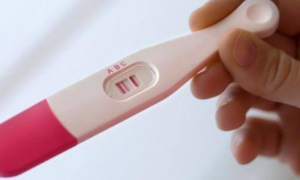 فترة الحمل: نظرة عامة