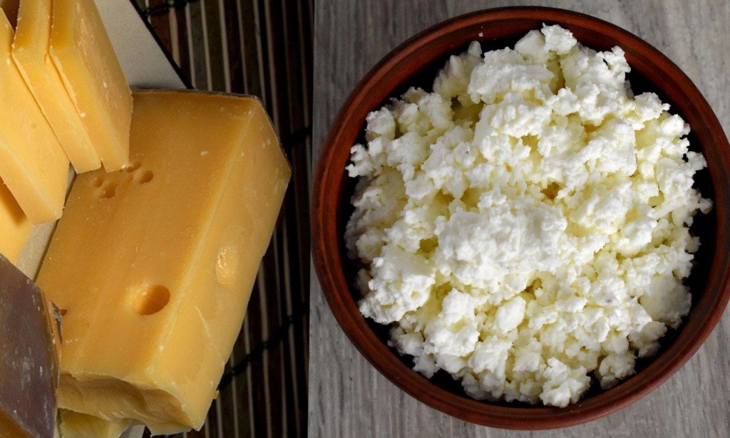 كيف تصنع الجبن في المنزل بأسهل طريقة