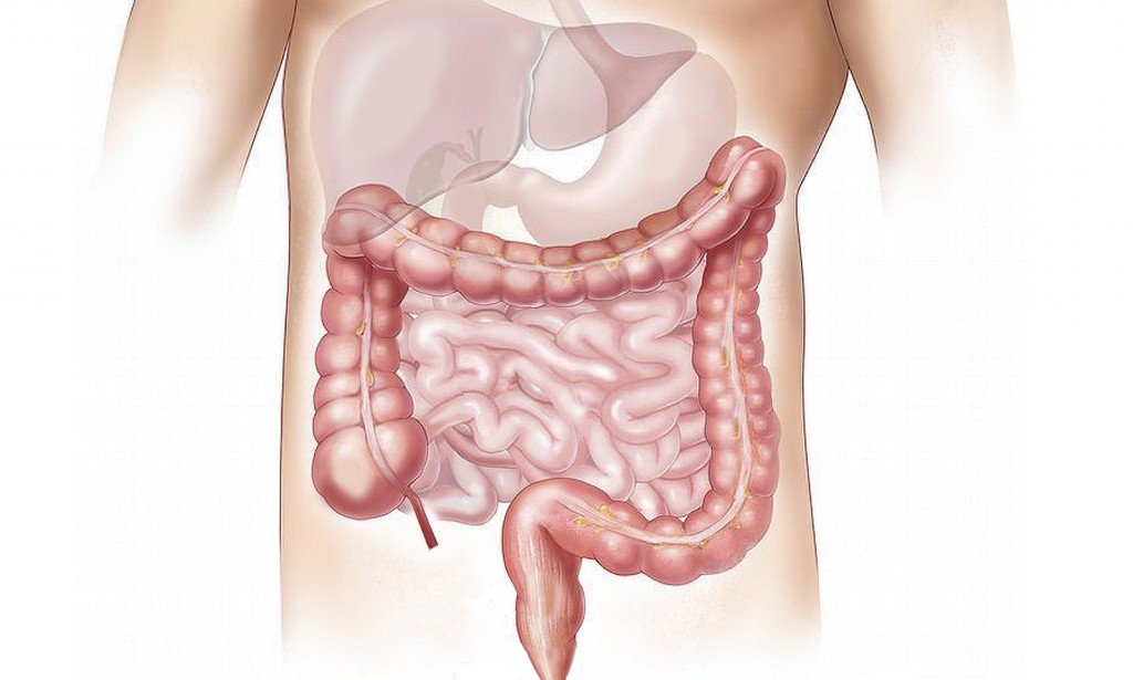 باستخدام هذه العلاجات الطبيعية ، يمكنك تطهير القولون في دقائق للتخلص من السموم والغازات