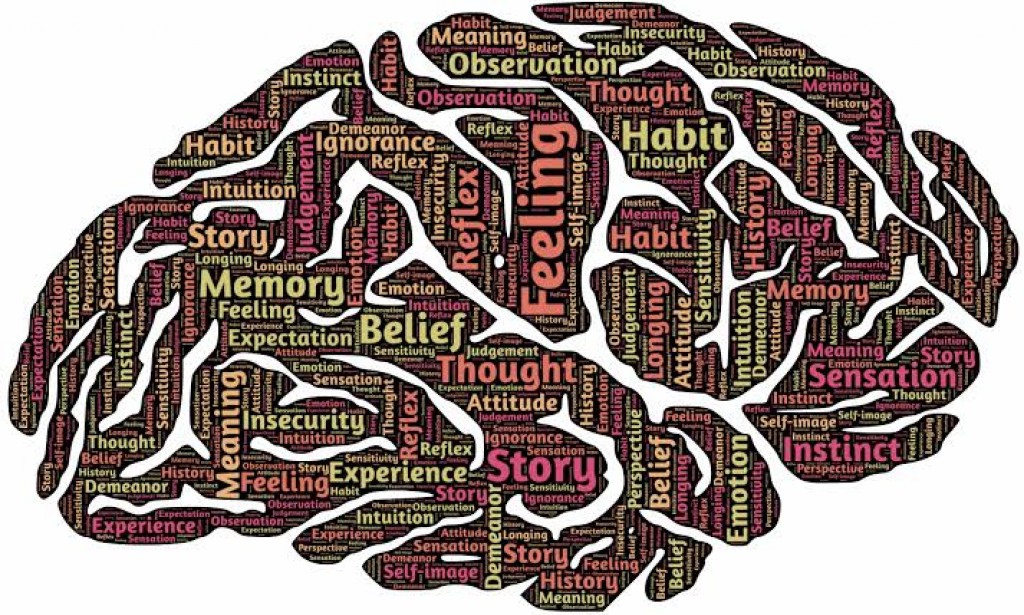 analyse the knowledge