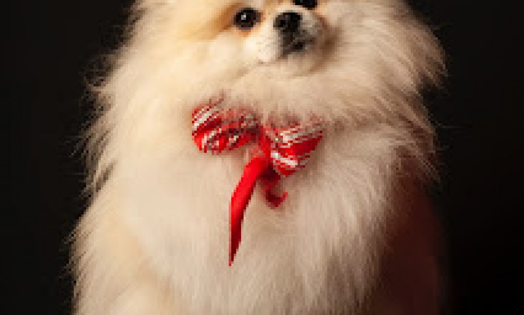 !Do Animals Have Pets? You May Be Surprised