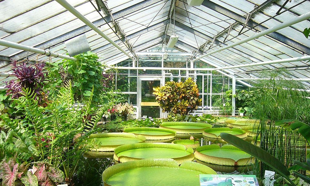 كيف نجعل الفدان بعشره افدنه؟