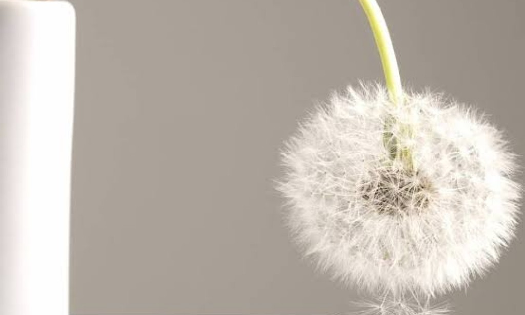 ما هي علامات الضعف الجنسي عند الرجل المتزوج؟