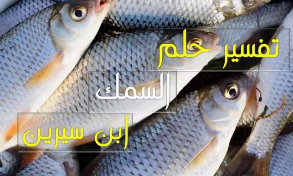 تفسير حلم رؤية السمك في المنام