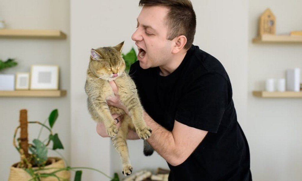 what does it mean if you hate cats