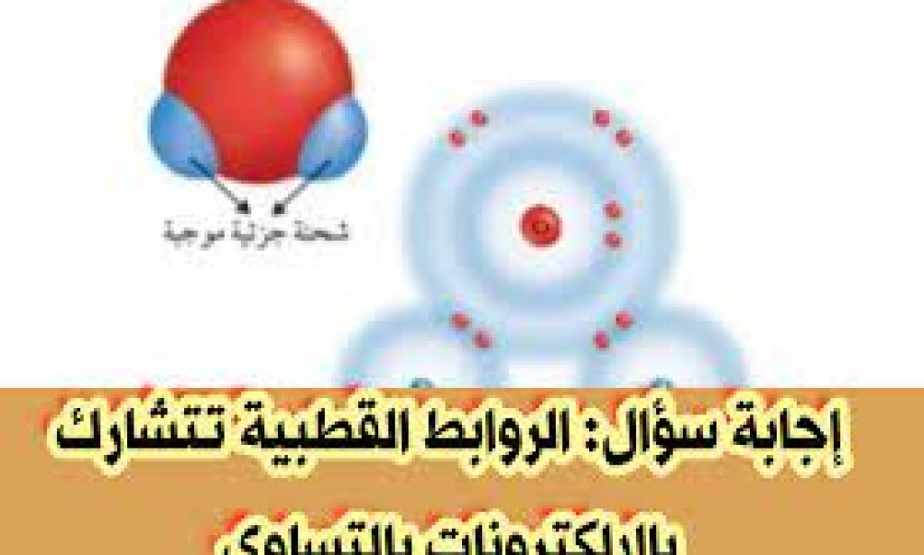 الروابط القطبية تتشارك بالإلكترونات بالتساوي