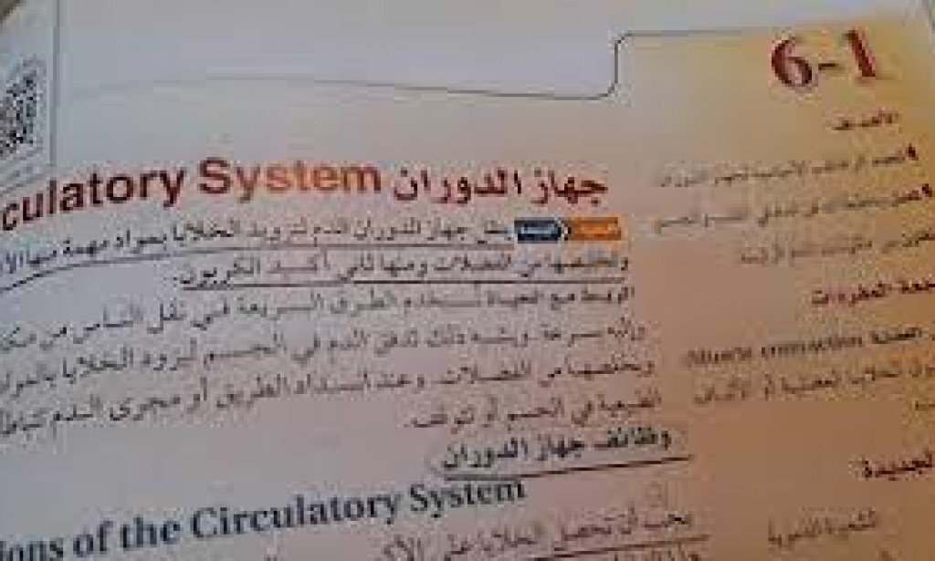 أي مما يلي يعد من وظائف جهاز الدوران؟