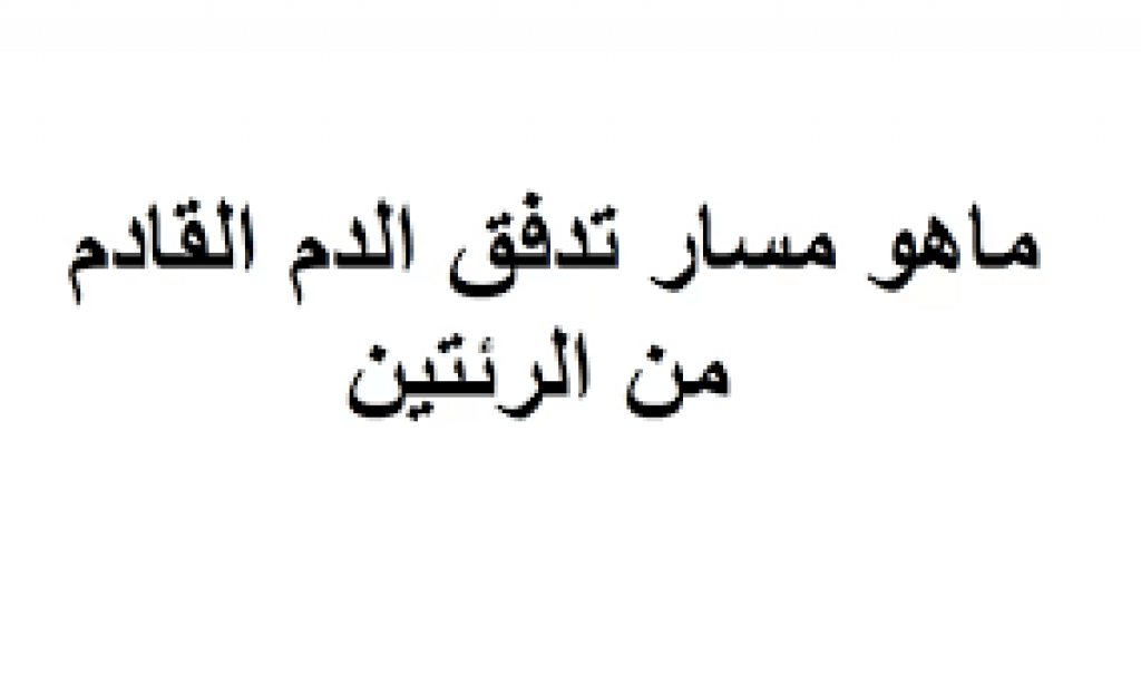 ما مسار تدفق الدم المؤكسج القادم من الرئتين؟