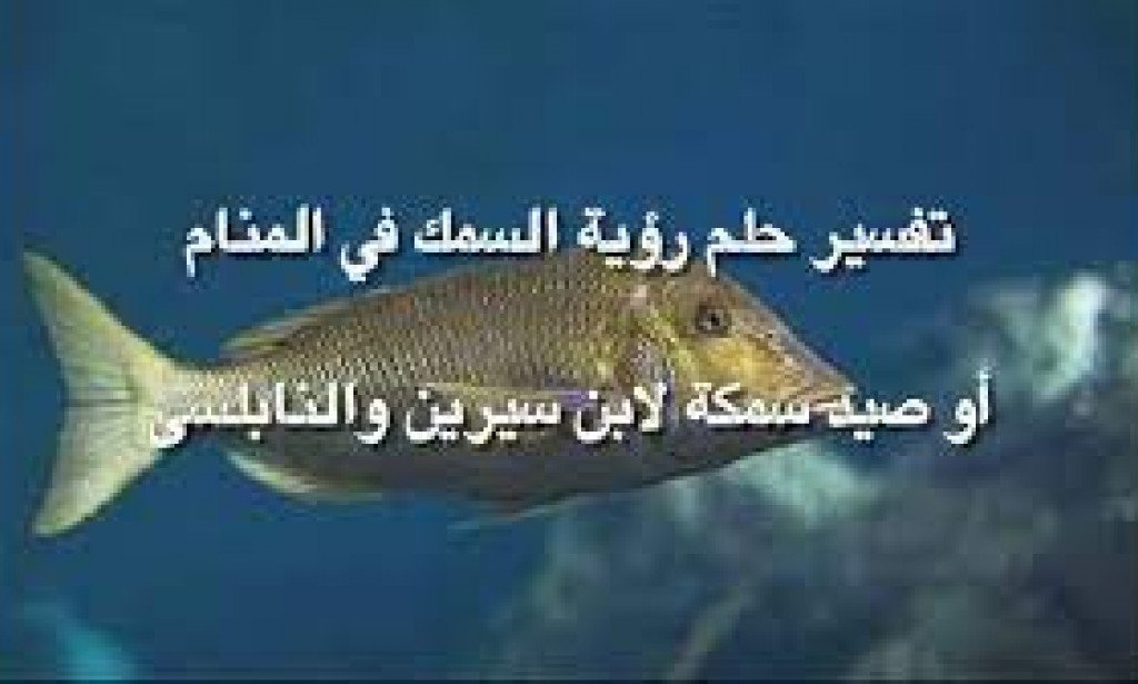 تفسير حلم السمك في المنام بالتفصيل