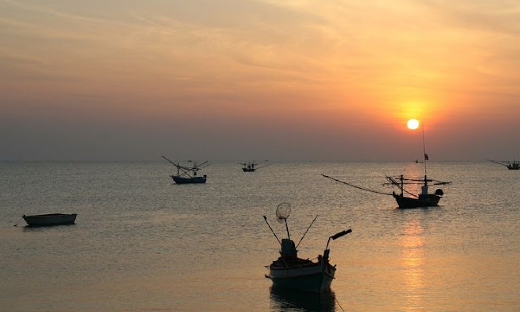 الشرق الأوسط الجديد -السعودية تقود زمام المبادرة