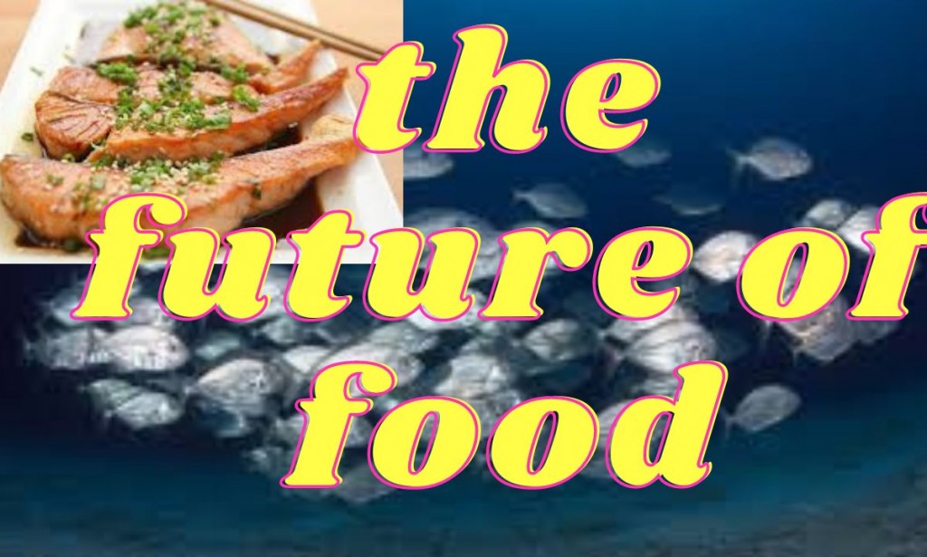 Fish fillets produced in laboratories .....the future of food
