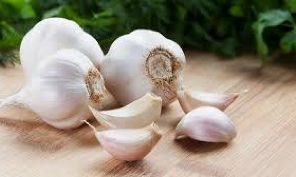 الفوائد الصحية للثوم