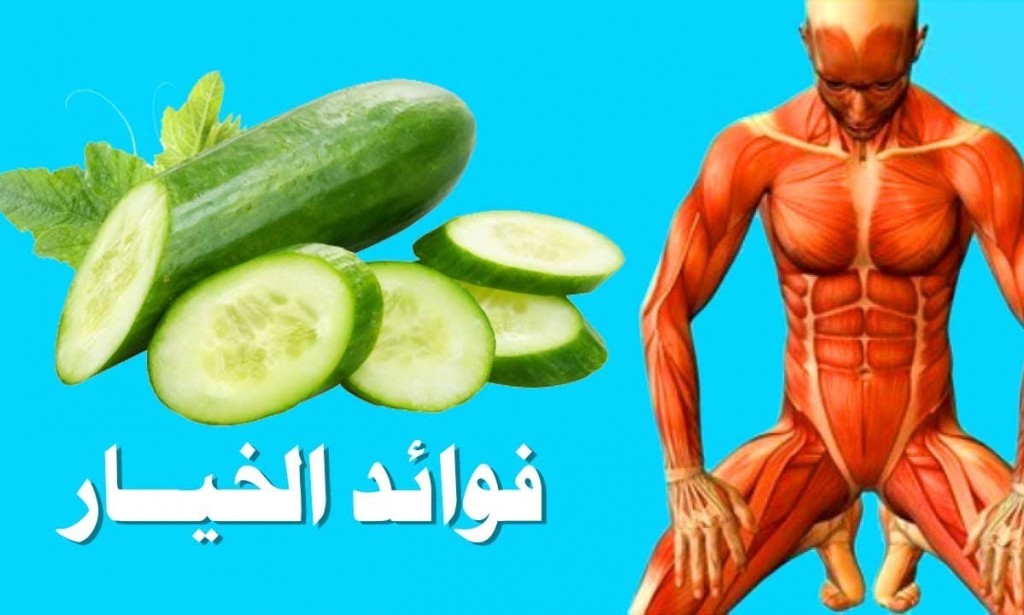 فوائد الخيار: متنوعة وعديدة