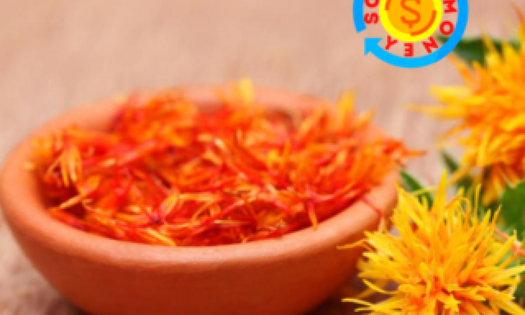 فوائد العصفر في الطب النبوي ؛ نعمة طبيعية تستحق الاهتمام