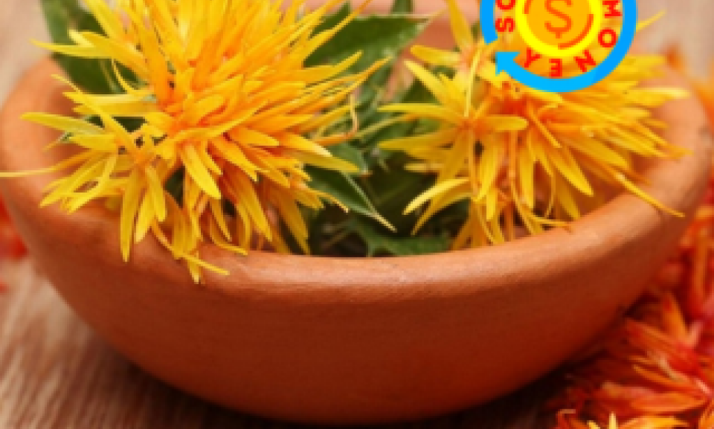 فوائد العصفر للقولون العصبي ولجسم الإنسان