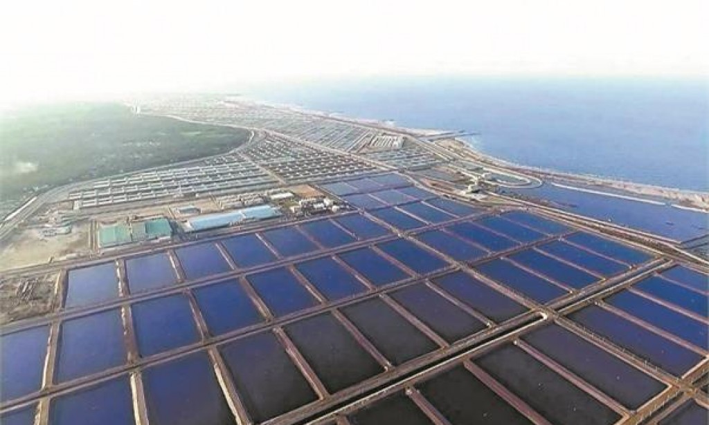 المزارع السمكية بالتفصيل