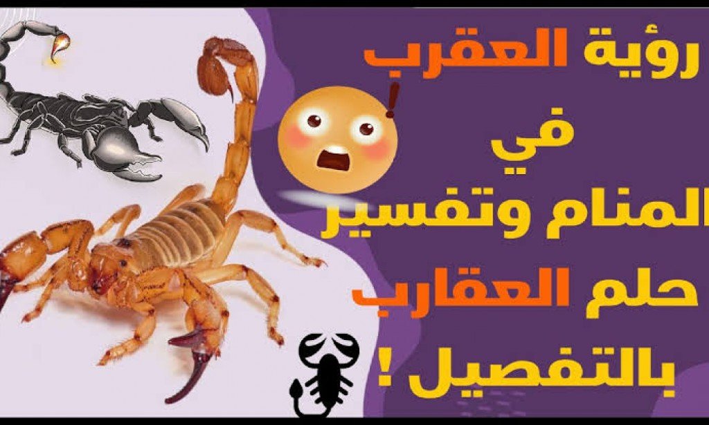 تفسير رؤية العقرب في المنام للعزباء