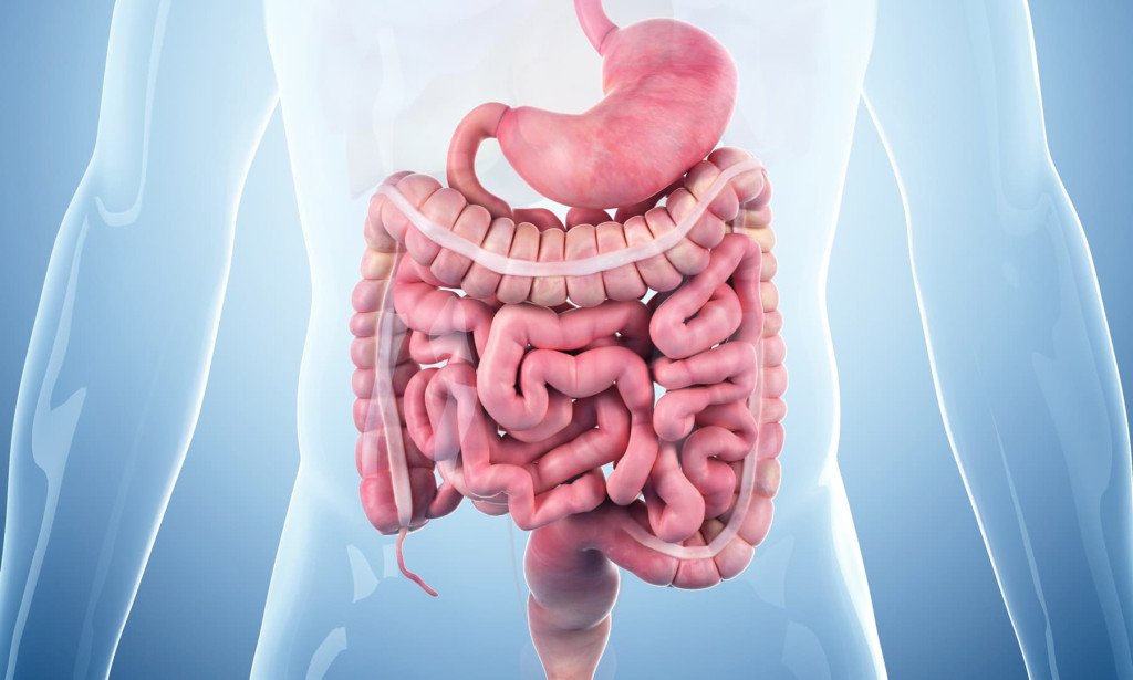 القولون العصبي - كل ما تريد معرفته عن متلازمة القولون العصبي