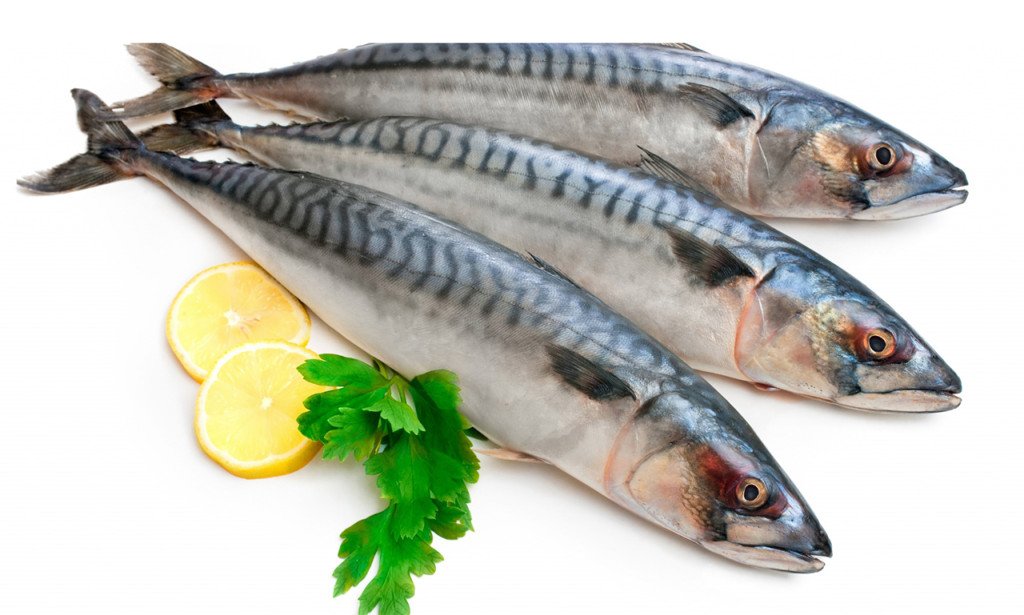 هل السردين سمك أبيض؟ تعرف علي سمك السردين وانواعه وفوائده وأضراره