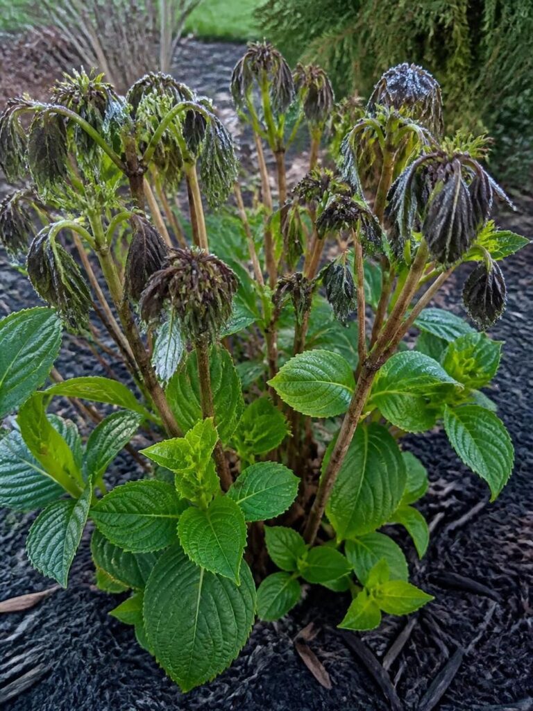 5 f
