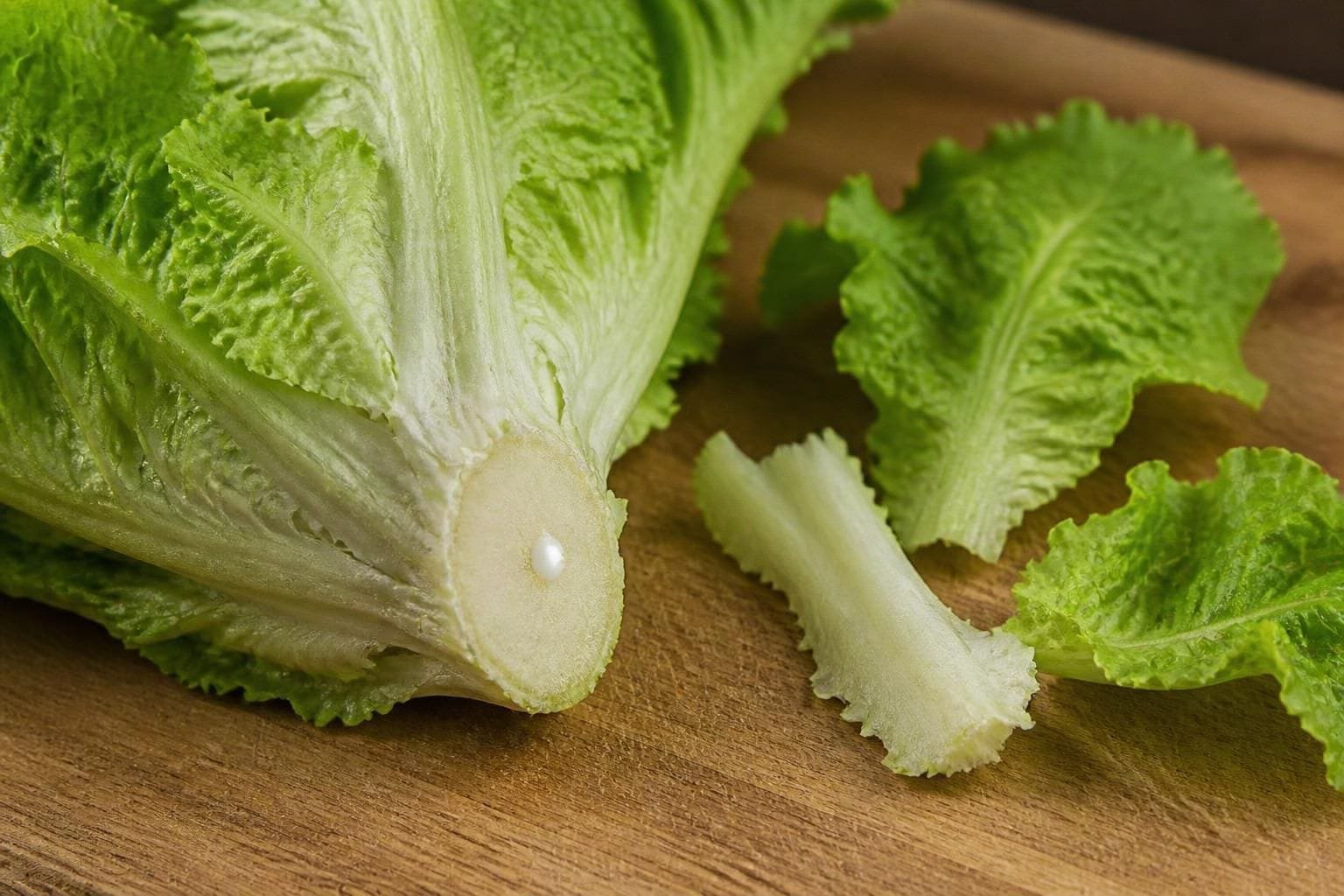 Cut lettuce core with a bead of milky latex beside a trimmed midrib on a wooden board